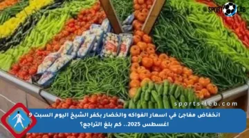 انخفاض مفاجئ في أسعار الفواكه والخضار بكفر الشيخ اليوم السبت 9 أغسطس 2025.. كم بلغ التراجع؟